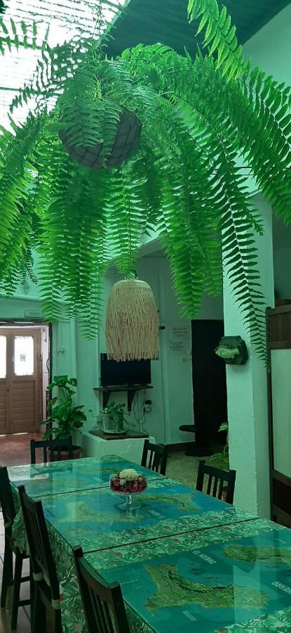 Vivienda Vacacional Sabinosa Extérieur photo