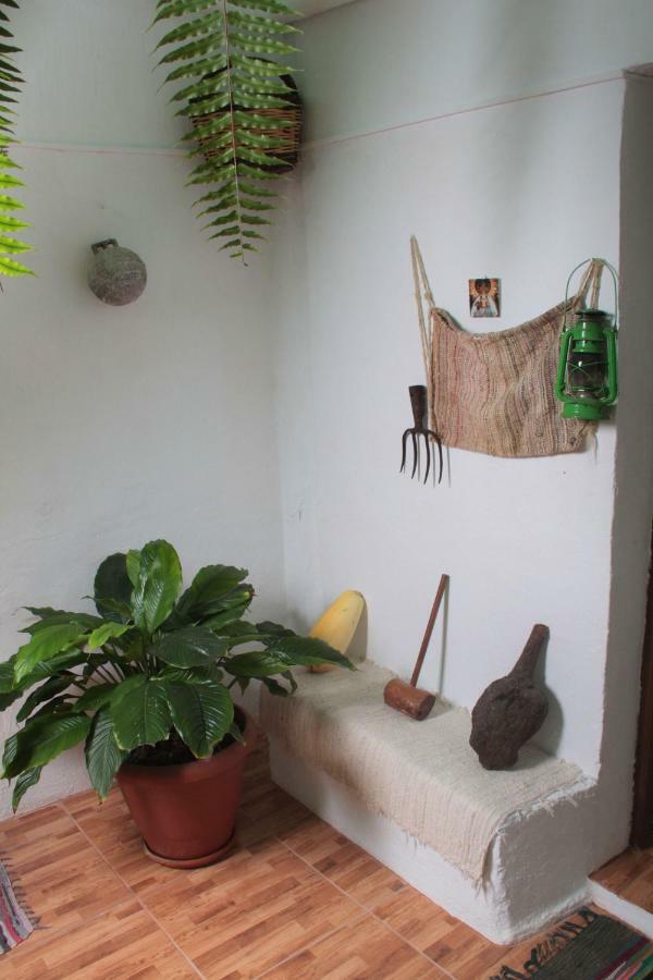 Vivienda Vacacional Sabinosa Extérieur photo